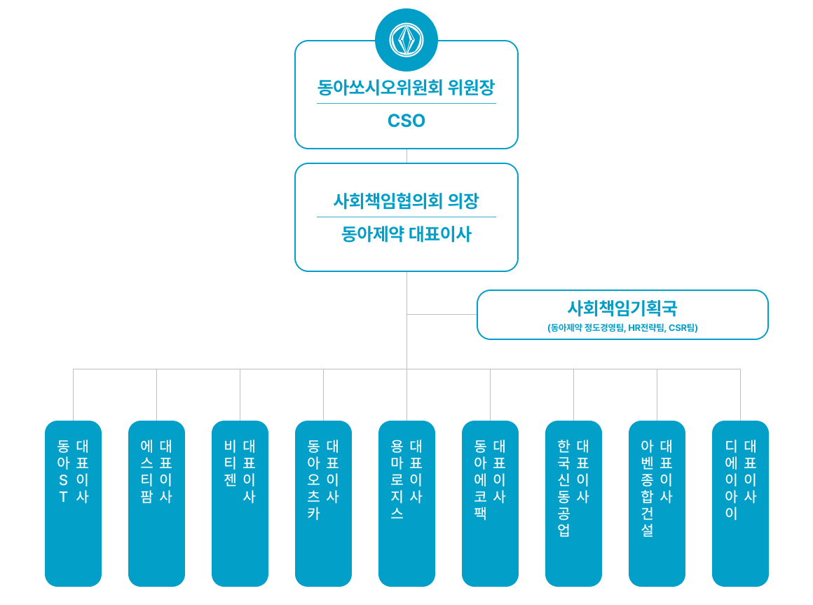 DSC조직도